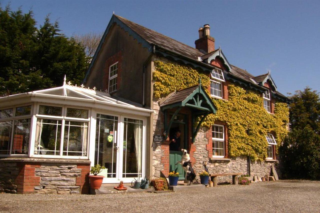 Druid Cottage Kenmare Exteriör bild